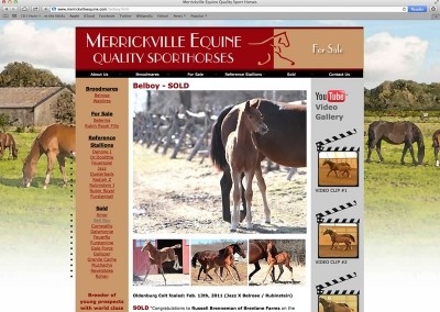 Merrickville Equine Website